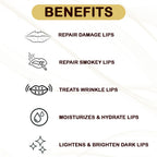 Blue Nectar Shubhr Coffee Lip Balm with Ghee | Grocsy