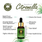 Old Tree Citronella Essential Oil | Grocsy