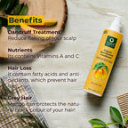 Organic Harvest Organic Nourishment Conditioner With Mango Butter Extract | Grocsy