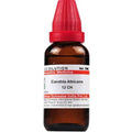 Dr. Willmar Schwabe India Candida Albicans Dilution | Grocsy