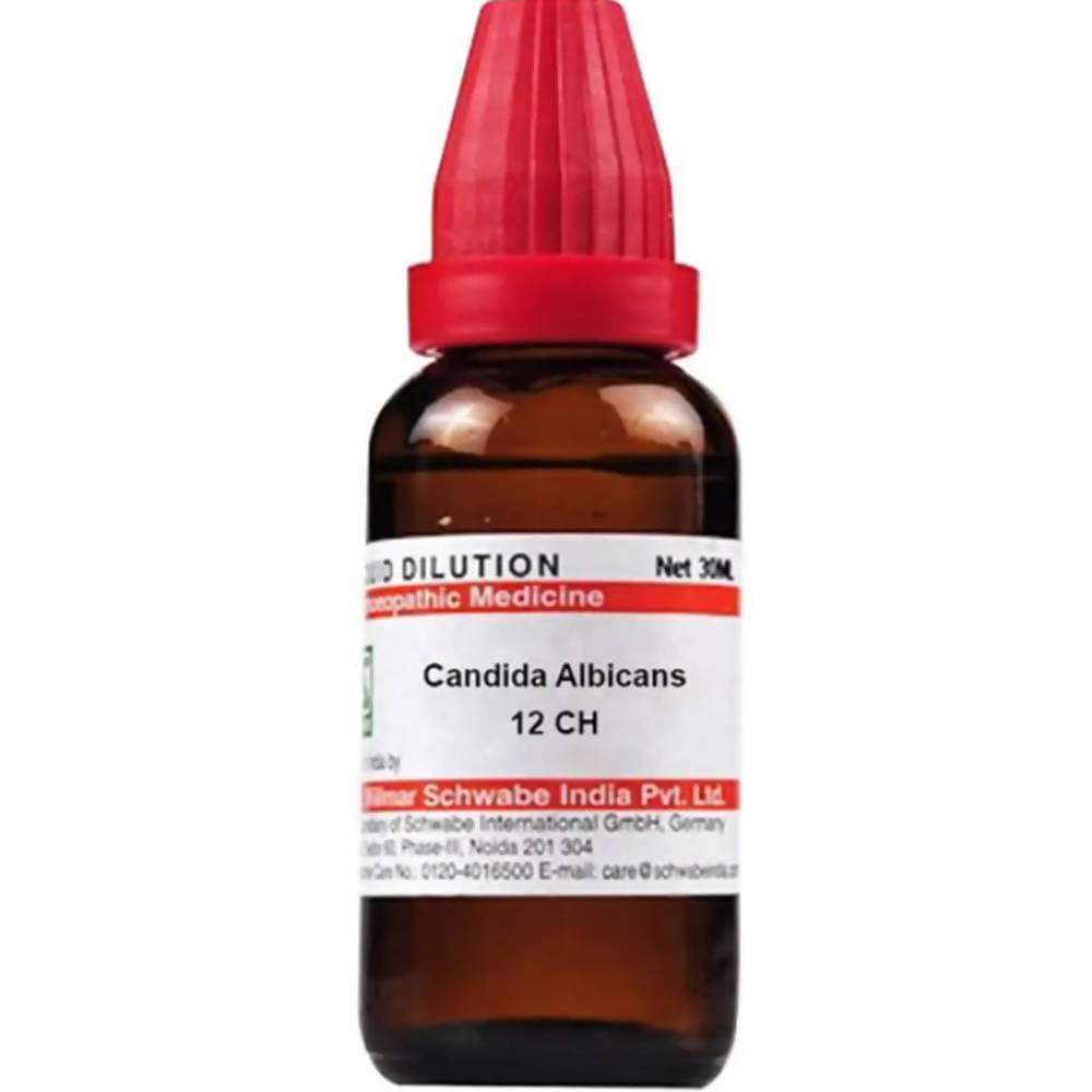 Dr. Willmar Schwabe India Candida Albicans Dilution | Grocsy