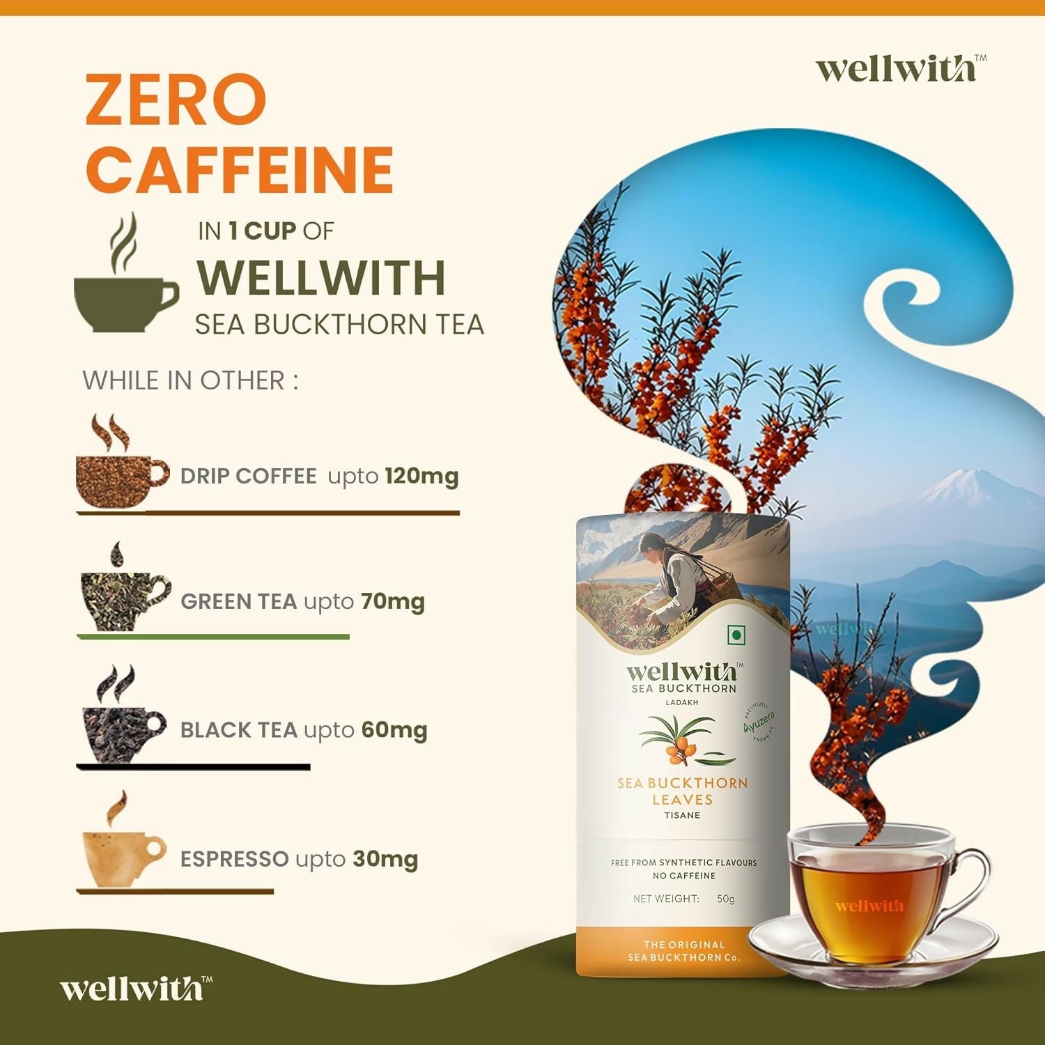 Wellwith Sea Buckthorn Raw Leaves Tea - Himalayan Herbal Leaf Tea | Grocsy