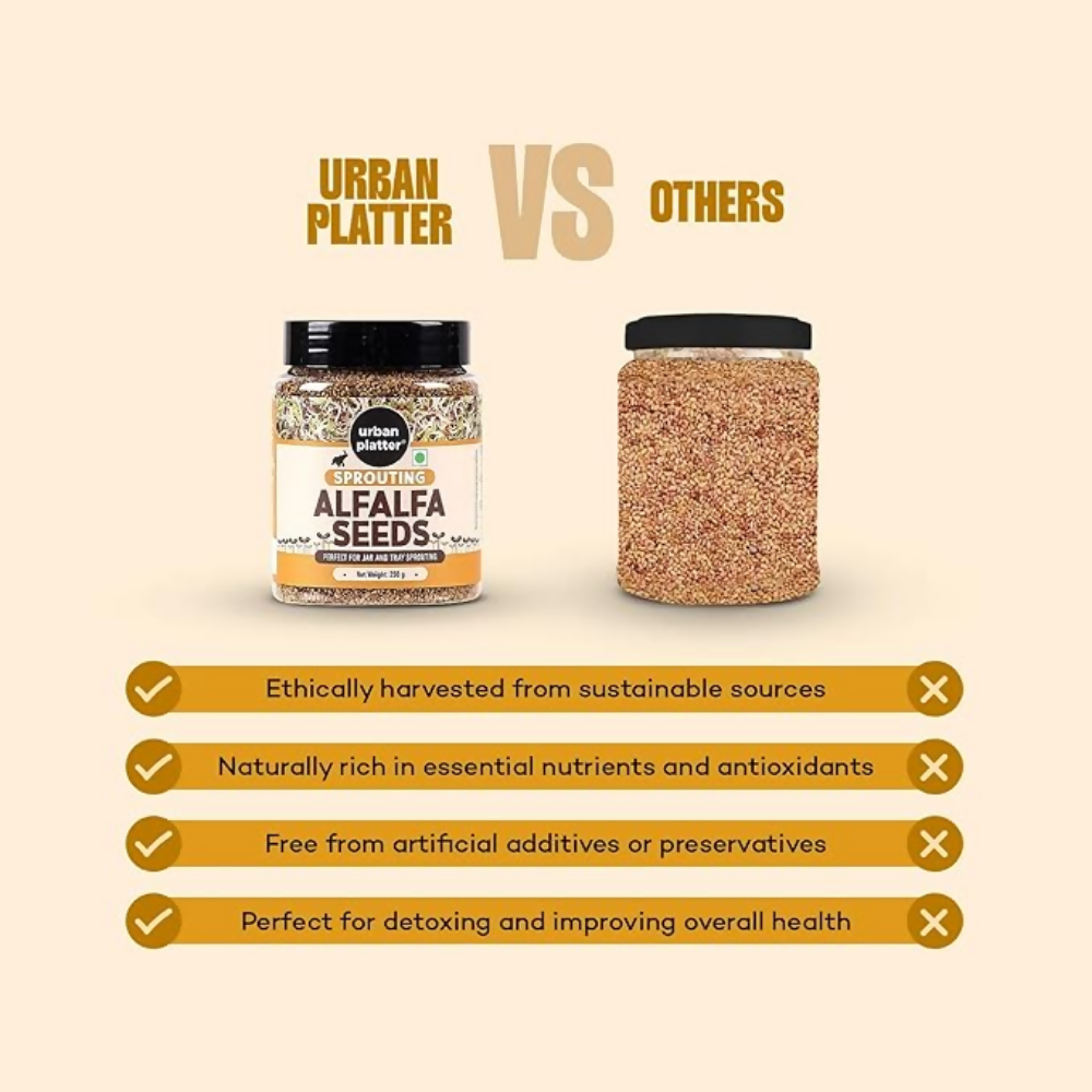 Urban Platter Alfalfa Seeds | Grocsy