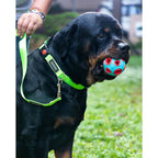 Waggety Dog Leash - Durable Green Polyester, Length - 5Ft, Comfortable Grip, Stylish Pet Leash for Dogs | Grocsy