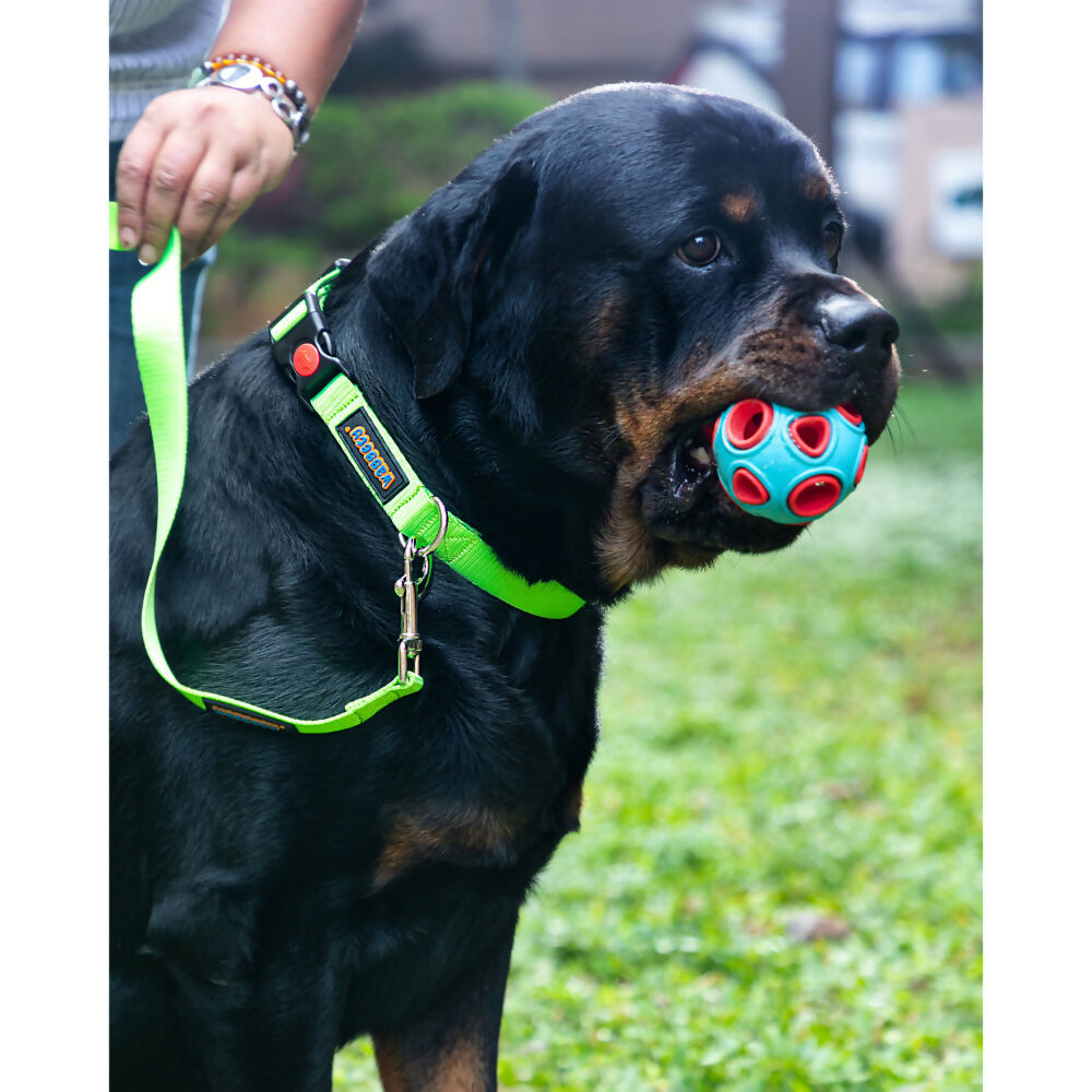 Waggety Dog Leash - Durable Green Polyester, Length - 5Ft, Comfortable Grip, Stylish Pet Leash for Dogs | Grocsy