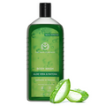 The Man Company Aloe Vera & Matcha Body Wash For Glowing & Smooth Skin Enriched With Green Tea & Moringa Leaf Extract | Grocsy