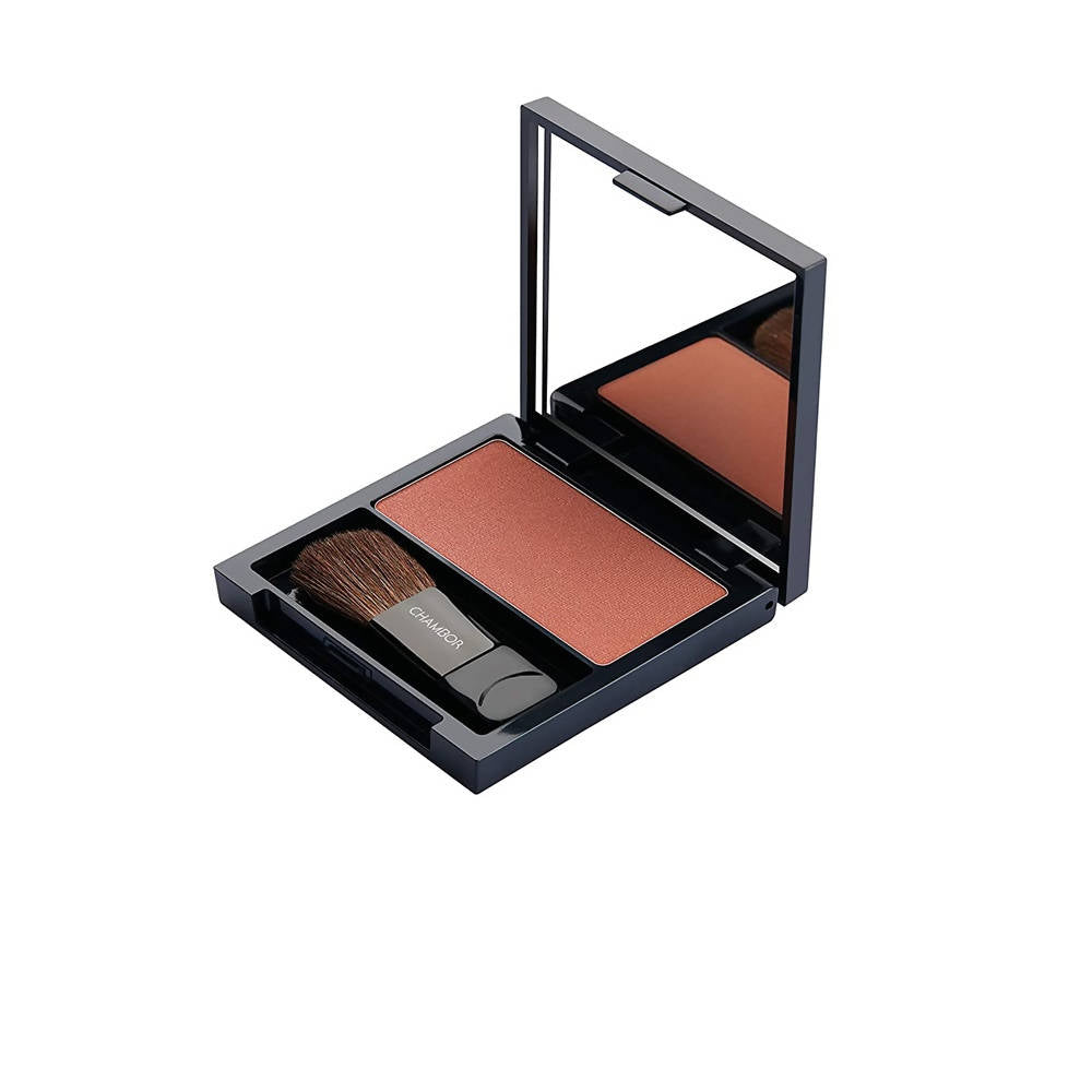 Chambor Luminous Blush Dusty Rose 06 | Grocsy