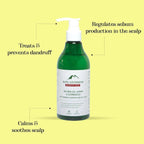 Alps Goodness Tea Tree Oil, Lemon & Climbazole Anti-Dandruff Shampoo | Grocsy