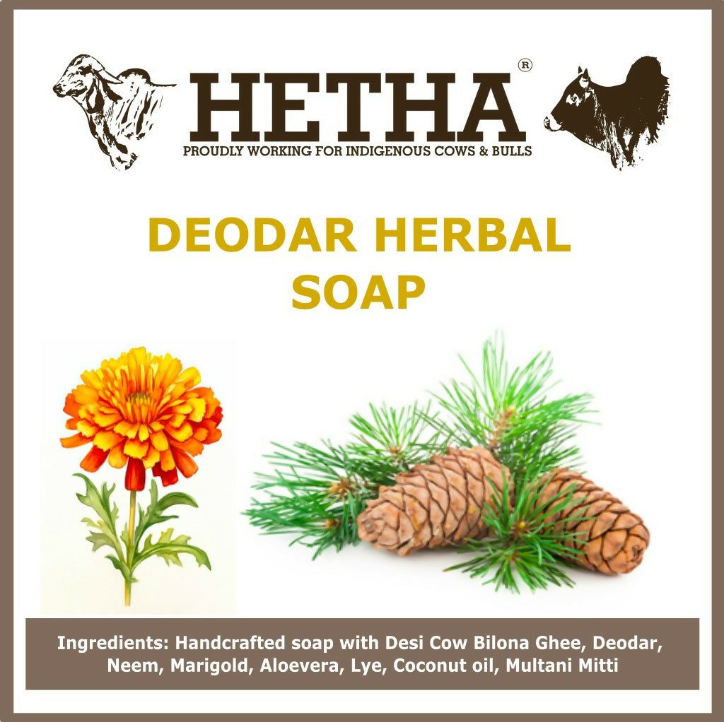 Hetha Deodar Herbal Soap | Grocsy