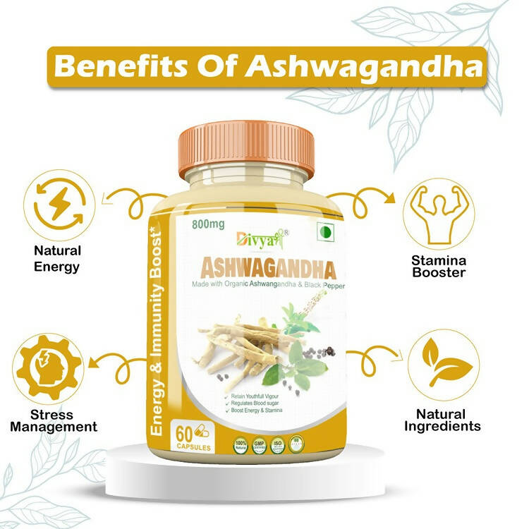 Divya Shree Ashwagandha Capsules | Grocsy