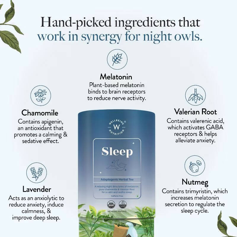 Wellbeing Nutrition Sleep Tea | Grocsy