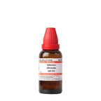 Dr. Willmar Schwabe India Valeriana Officinalis Dilution | Grocsy