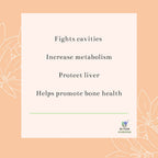 Oilcure Clove (Laung)