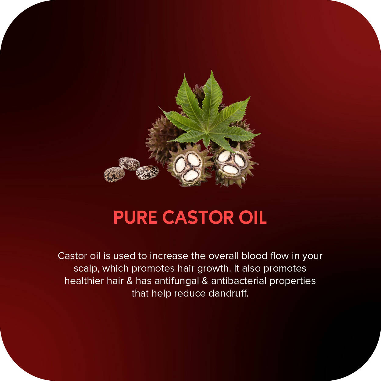 Careberry Organic Hexane-Free Organic Castor Oil For Hair, Face & Body | Grocsy