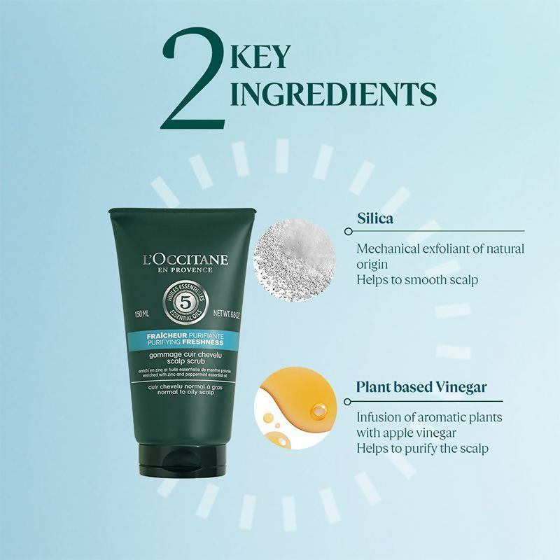 L'Occitane Purifying Freshness Cleansing Scalp Scrub | Grocsy