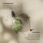 Vinci Botanicals Frankincense Patchouli Hair Cleanser | Grocsy