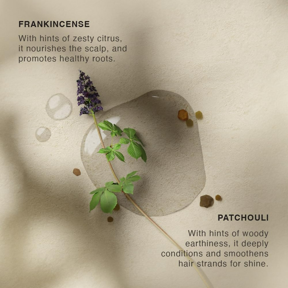 Vinci Botanicals Frankincense Patchouli Hair Cleanser | Grocsy