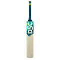 DSC Belter Wood Kashmir Willow Cricket Bat | Grocsy