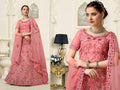 Light Pink Net Fancy Zari Embroidered work Lehenga Choli with Dupatta - Heer | Grocsy