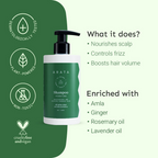 Arata SLS & Paraben Free Hydrating Shampoo With Ginkgo, Ginger & Indian Gooseberry | Grocsy
