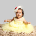 Pink Cow Fashions Yellow Gown With Organza Chest & Net Layer Ghera | Grocsy