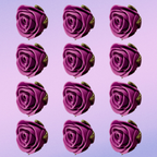 Confect Fuchsia Pink | Edible Sugar Flowers | Grocsy