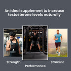 Dr Morpen Performance Combo- (Gokshura ,Testo Boost Tablets & Sj Resin) | Grocsy