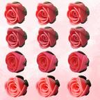 Confect Ombre- 1 | Edible Sugar Roses Topper | Grocsy