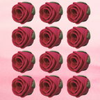 Confect Burgundy | Edible Sugar Flowers | Grocsy