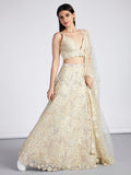 House of Panchhi Turquoise Blue Georgette Sequins And Thread Embroidery Lehenga Choli & Dupatta | Grocsy