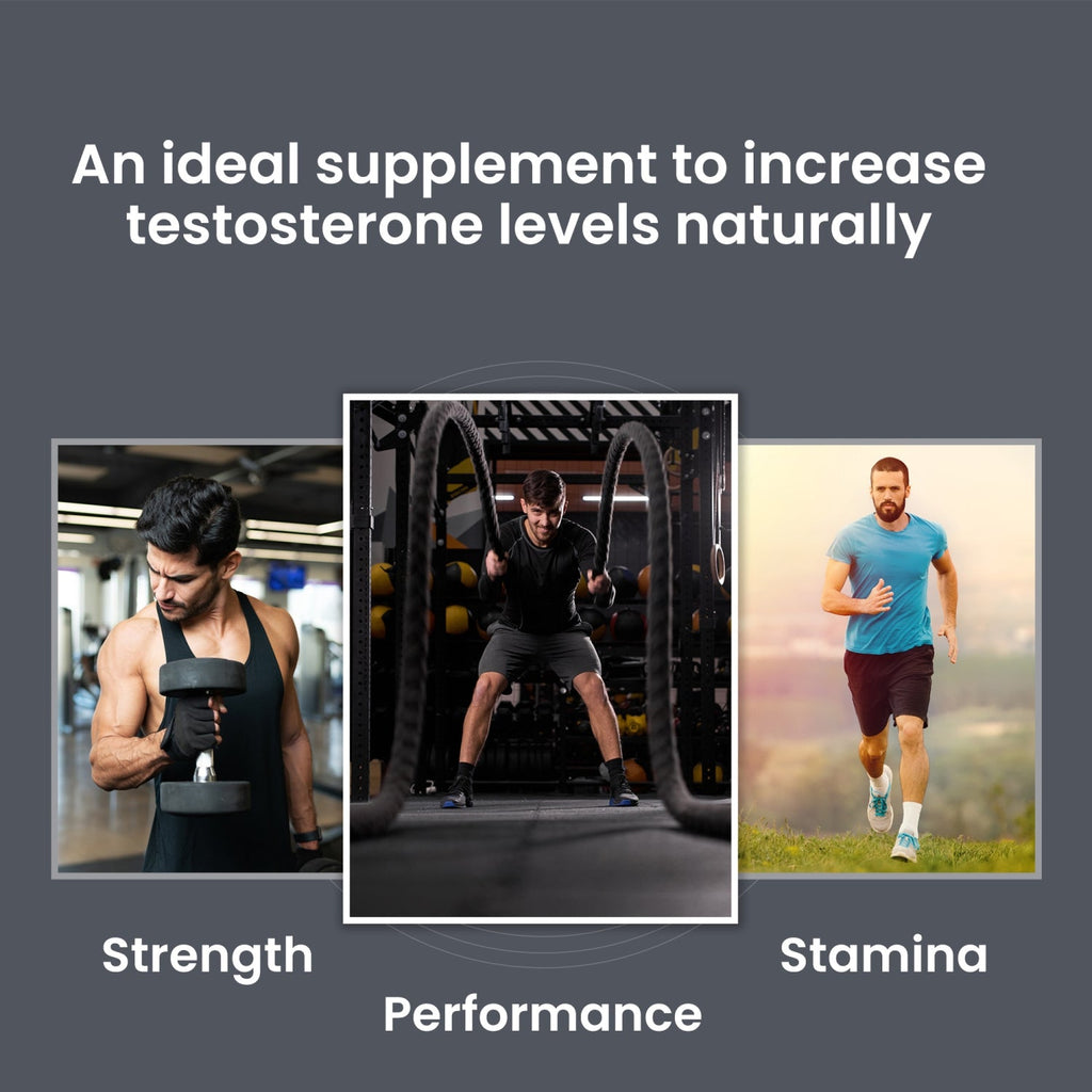 Dr Morpen Testo Boost & Sj Resin | Grocsy