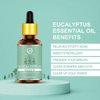Nuerma Science Eucalyptus Essential Oil For Cold, Fresh Breathing & Joints Pain | Grocsy