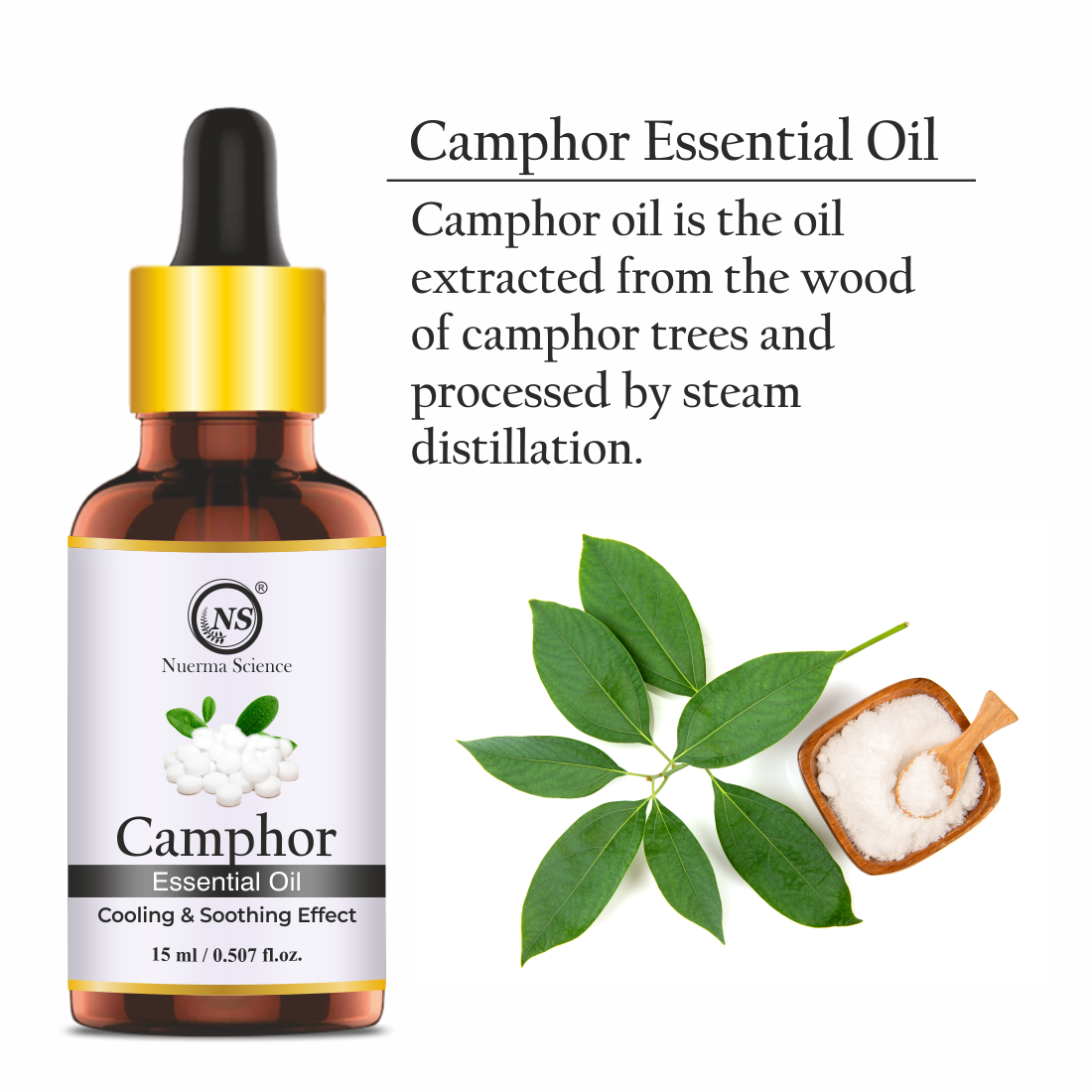 Nuerma Science Camphor (Kapoor) Cold Pressed Oil For Skin & Hair Care | Grocsy