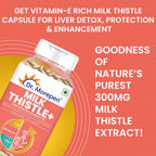 Dr Morpen Milk Thistle + Weight Gainer Combo | Grocsy