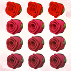 Confect Ombre- 2 | Edible Sugar Roses Topper | Grocsy