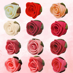 Confect Ombre- 5 | Edible Sugar Roses Topper | Grocsy