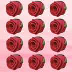 Confect Magenta | Edible Sugar Flowers | Grocsy