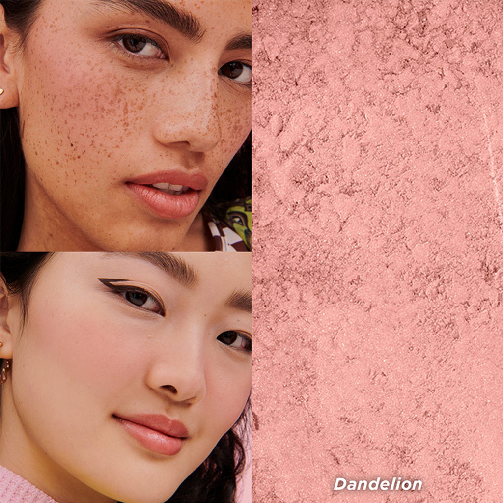 Benefit Cosmetics Dandelion Baby-Pink Brightening Blush | Grocsy