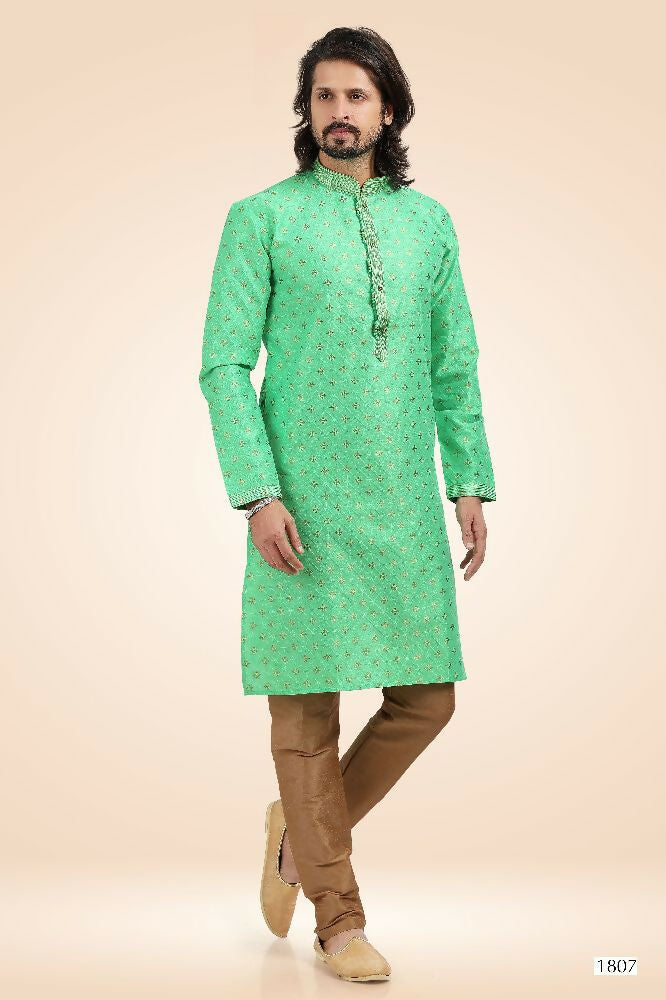 Raivat Ethnic Jacquard Banarasi Silk Pintux Work Kurta Pajama In Green Colour | Grocsy