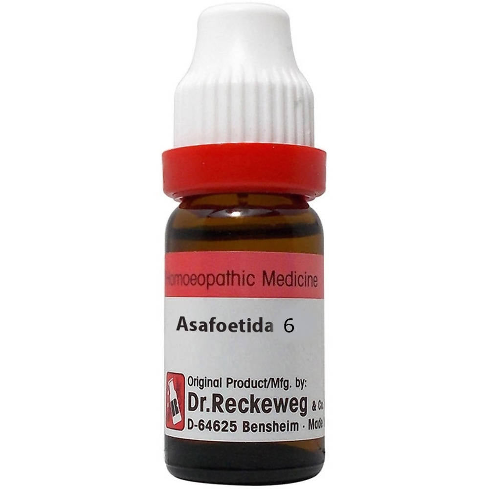 Dr. Reckeweg Asafoetida Dilution | Grocsy