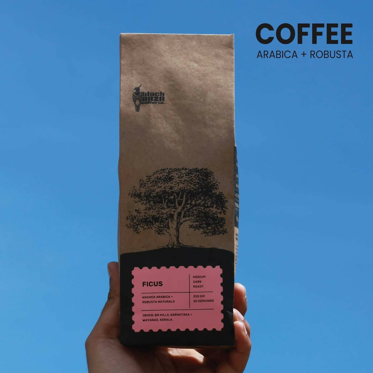 Black Baza Coffee Ficus | Grocsy