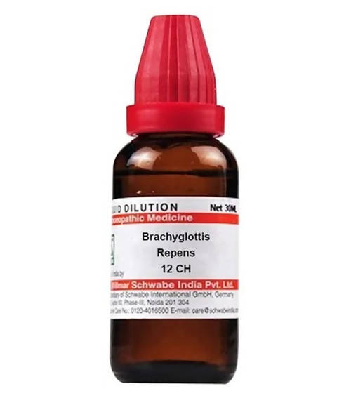 Dr. Willmar Schwabe India Brachyglottis Repens Dilution | Grocsy