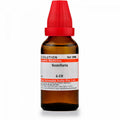 Dr. Willmar Schwabe India Scutellaria Dilution | Grocsy