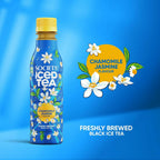 Society Iced Tea Bottle-Chamomile Jasmine | Grocsy