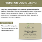 Oxyglow Herbals Pollution Guard Cleanup Kit | Grocsy