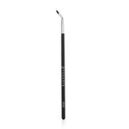 Proarte 2 in 1 Angled Eye & Lip Brush PE-59 | Grocsy