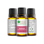 Bliss of Earth Premium Essential Oil Rosemary | Grocsy