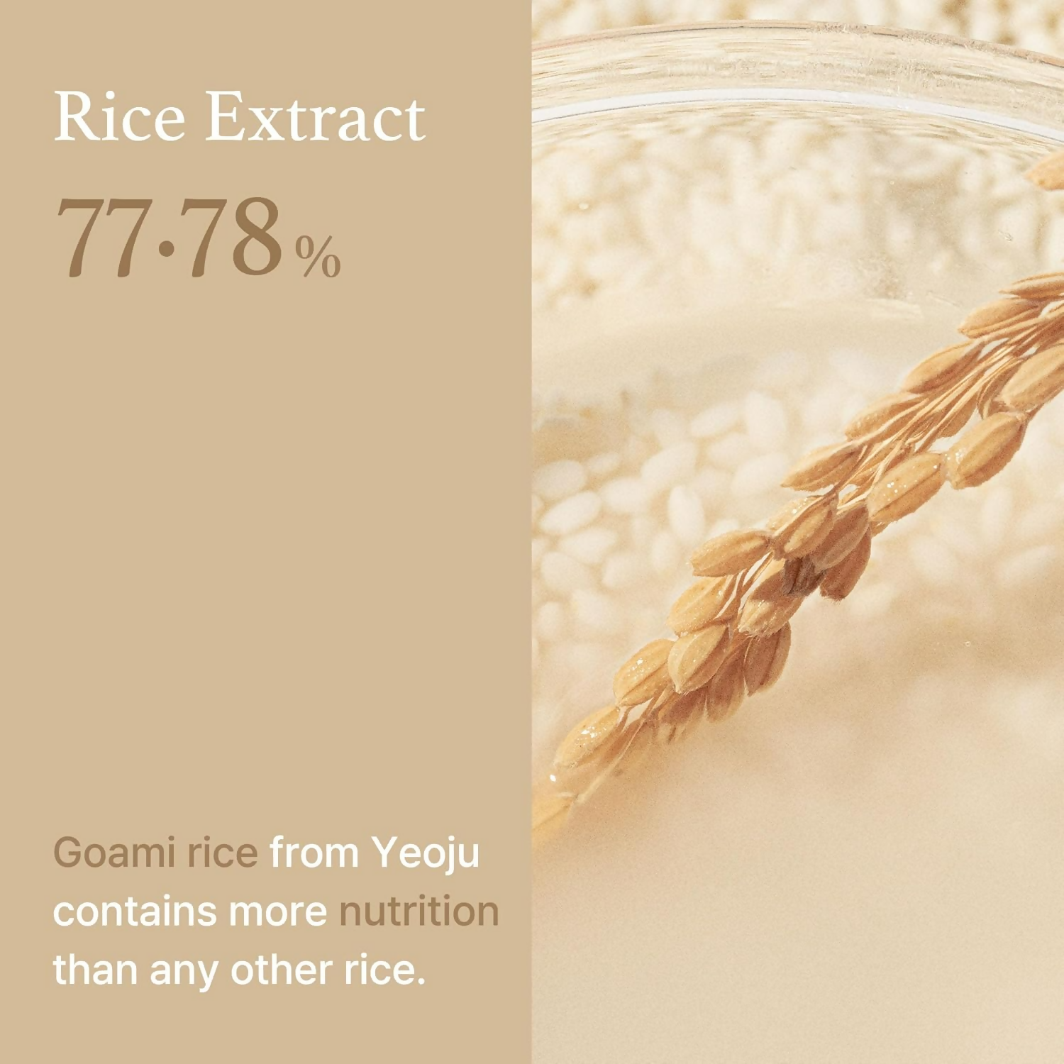 I'm From Rice Toner | Grocsy