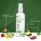 Blossom Kochhar Aroma Magic Neem & Tea Tree Toner | Grocsy