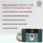 Buddha Natural Dark Spot Removal Soap - Reduce Skin Pigmentation, Perfect for Oily Skin | Grocsy